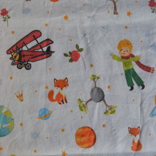 El Principito El Principito