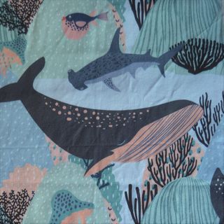 Fondo marino Fondo marino