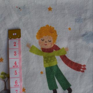 El Principito El Principito