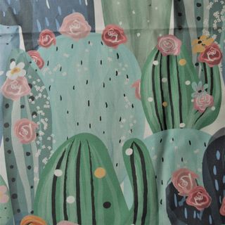 Cactus en flor Cactus en flor